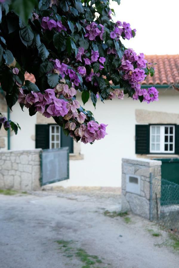 Casa Velha Βίλα Paradamonte Εξωτερικό φωτογραφία