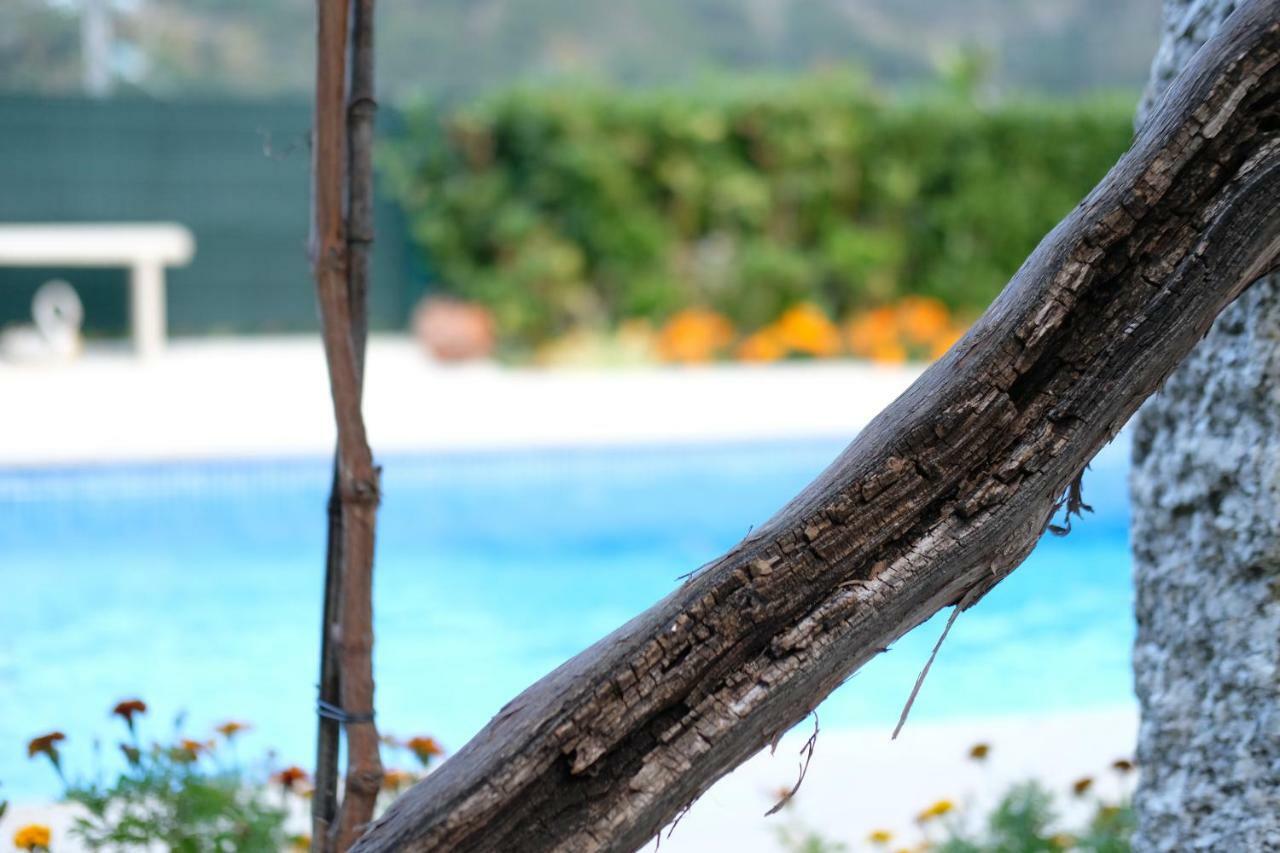 Casa Velha Βίλα Paradamonte Εξωτερικό φωτογραφία