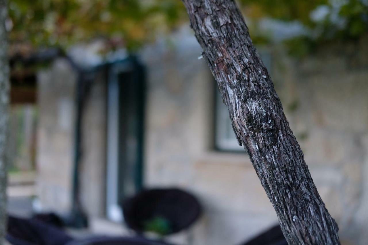 Casa Velha Βίλα Paradamonte Εξωτερικό φωτογραφία